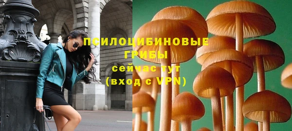 хмурый Вязники